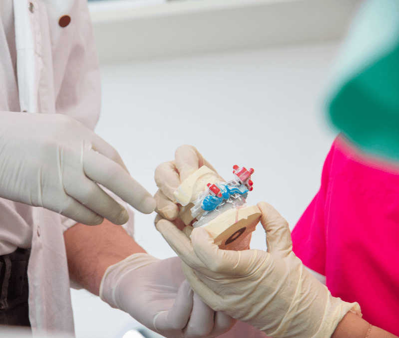 Modello anatomico con impianti dentali mostrato al paziente